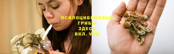 соль ск Абдулино