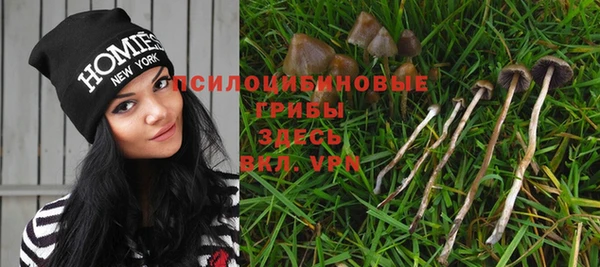 соль ск Абдулино