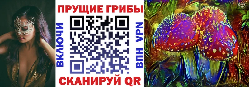 Галлюциногенные грибы Psilocybe  цена наркотик  Анива 
